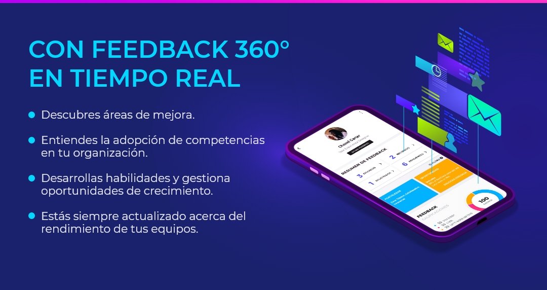 que-es-feedback